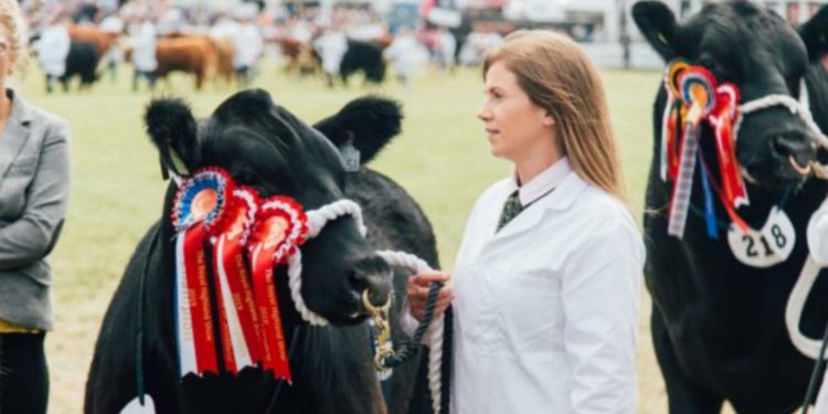Dusty reports and waiting farmers