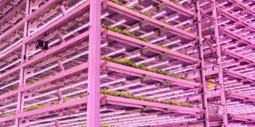 First vertical farm for SRUC