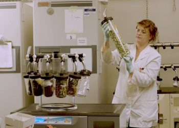 Danone delves into plant world for health foods