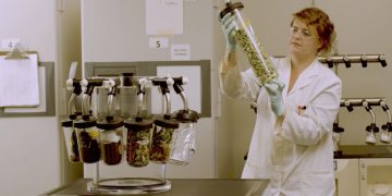 Danone delves into plant world for health foods