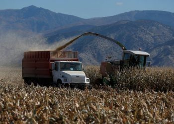 Bread, donut makers urge Biden to roll back on biofuel