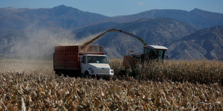 Bread, donut makers urge Biden to roll back on biofuel