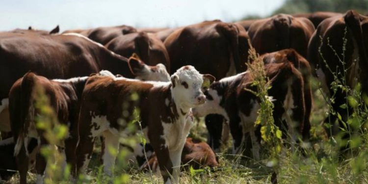 Food industry starts to measure sustainability