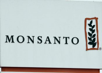 France fines Monsanto for data on journalists, activists