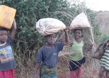 Business due diligence protect human rights