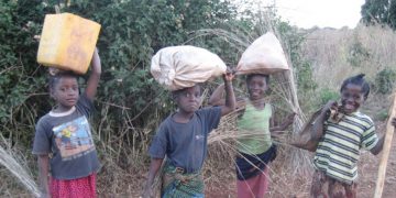 Business due diligence protect human rights