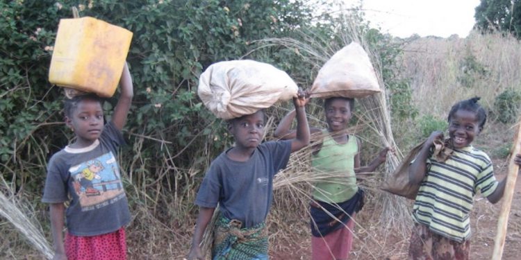 Business due diligence protect human rights