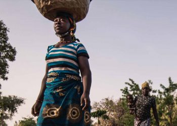 Greenwashing will lead to hunger and displacement