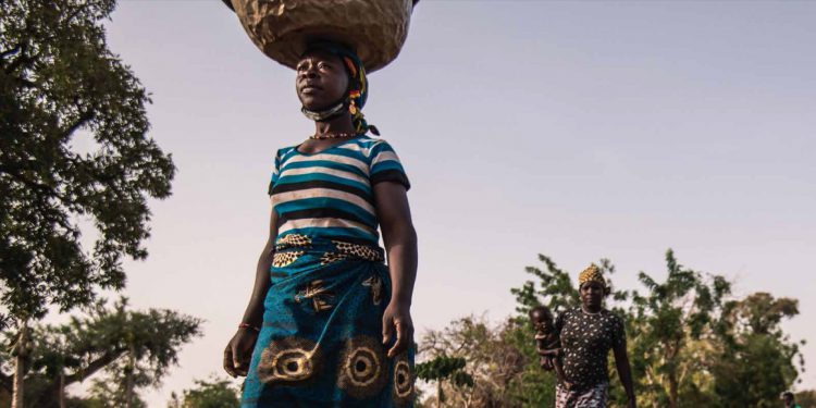 Greenwashing will lead to hunger and displacement