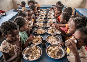 Food treaty needed from UN Food Systems Summit