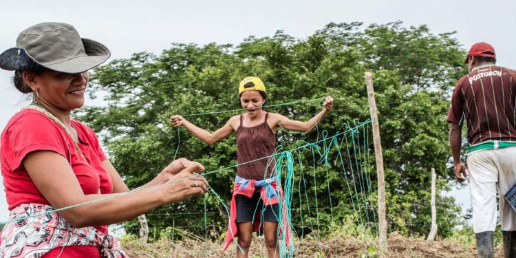 Almost 90% harmful food subsidies