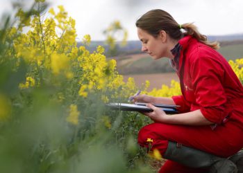 The regenerative revolution in food