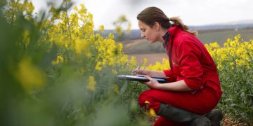 The regenerative revolution in food