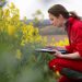 The regenerative revolution in food