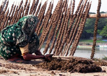 Over-arching monitoring framework needed, say experts