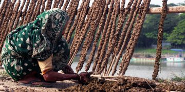 Over-arching monitoring framework needed, say experts