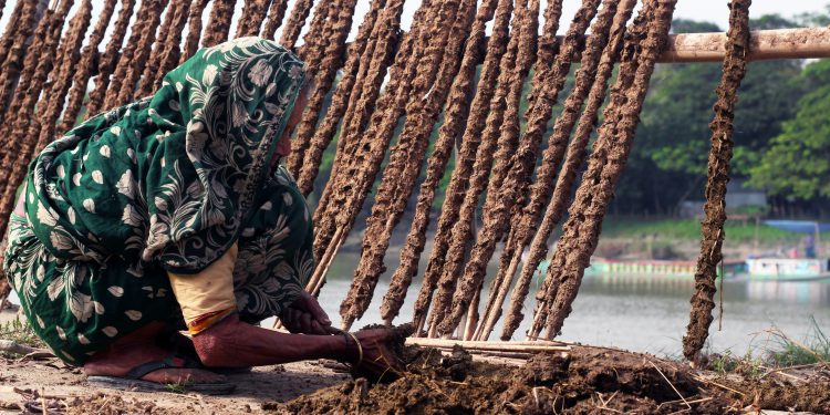 Over-arching monitoring framework needed, say experts