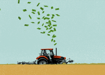 New Yorker article: The great organic-food fraud