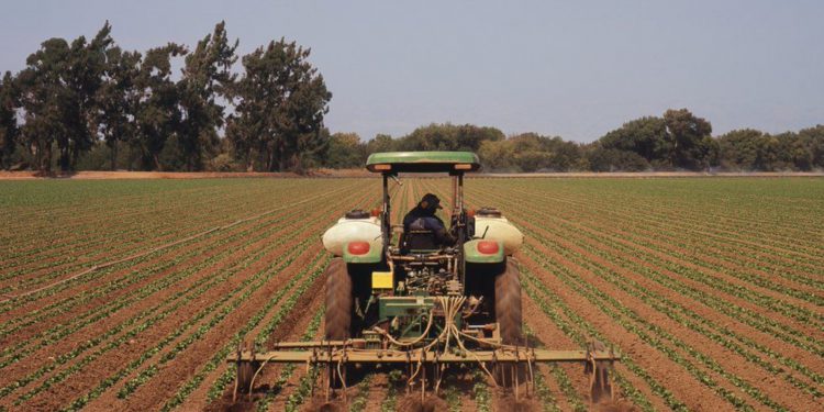 Poorest face food crisis amid fertiliser shortage