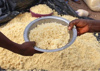 Food prices will stay high, hurting poor countries