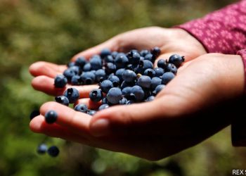 Maine’s new right to food’s legal challenges