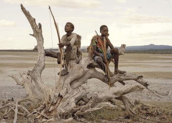 Diets are becoming less diverse, a new book warns