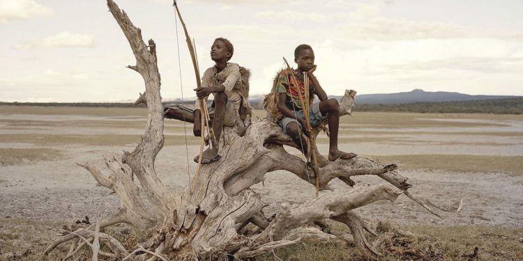 Diets are becoming less diverse, a new book warns