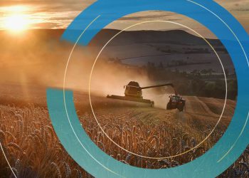 COP26: Supermarkets to halve impact of food shop