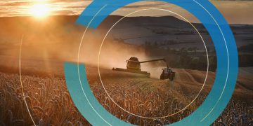 COP26: Supermarkets to halve impact of food shop