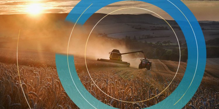 COP26: Supermarkets to halve impact of food shop