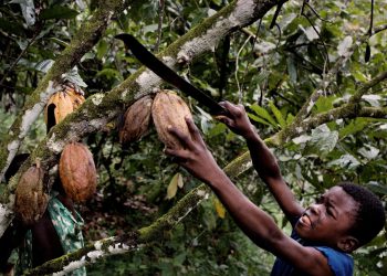 Are chocolate giants on the verge of solving child slavery?