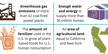 Close to half the calories produced in America go uneaten