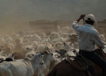 Calls for more pressure on meatpackers