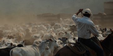 Calls for more pressure on meatpackers