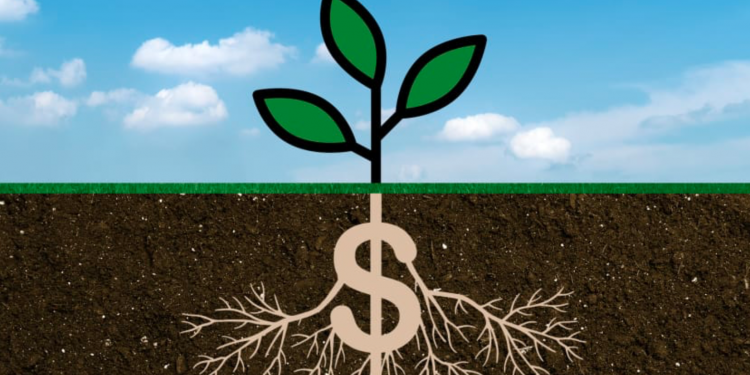 The last 20 years changed what Americans eat