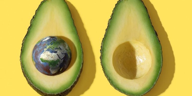 The disturbing truth about avocados