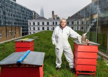 Beekeeper Dale Gibson, at the Hilton London Bankside, warns against ‘beewashing’.