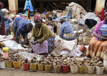 Potatoes are one of Kenya's favourite foods