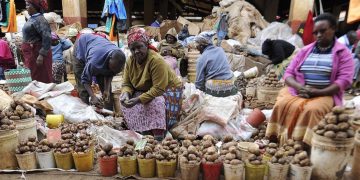 Potatoes are one of Kenya's favourite foods