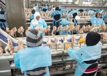 Biden supports $1 billion for independent meat processing