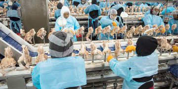 Biden supports $1 billion for independent meat processing