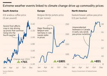 Scientists have warned that these conditions will become more frequent and intense as climate change accelerates.