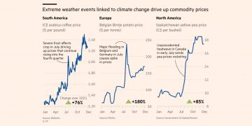 Scientists have warned that these conditions will become more frequent and intense as climate change accelerates.
