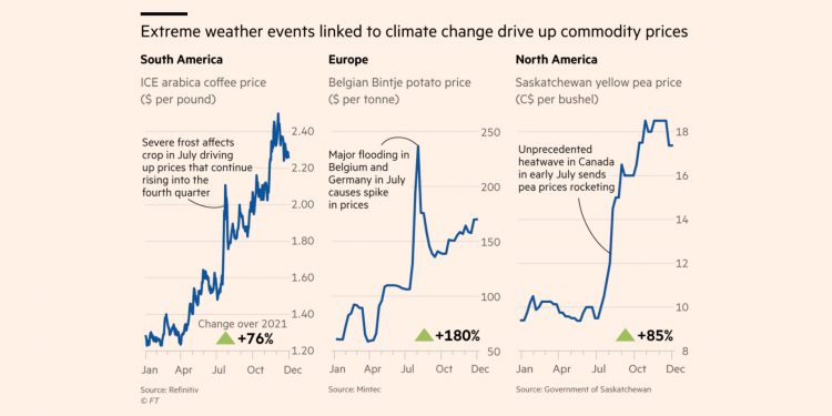 Scientists have warned that these conditions will become more frequent and intense as climate change accelerates.