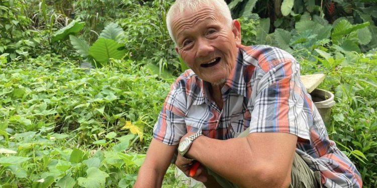 Mr Oh grows vegetables and chillies in his garden (Singapore forest)