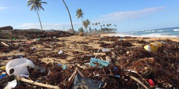 Which? is calling for recycling labelling to be compulsory on all UK grocery packaging. Pic: Dustan Woodhouse