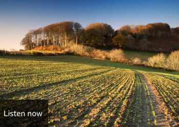 OmniAction wants agreed global food standards