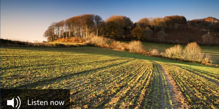 OmniAction wants agreed global food standards