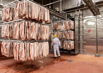 Imported pork bellies await processing in China. Pic: Qilai Shen/Panos Pictures (chicken farm)