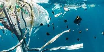 Food multinationals, "Urge the United Nations to urgently commence negotiations on a plastic pollution treaty." Pic: Naja Bertolt Jensen
